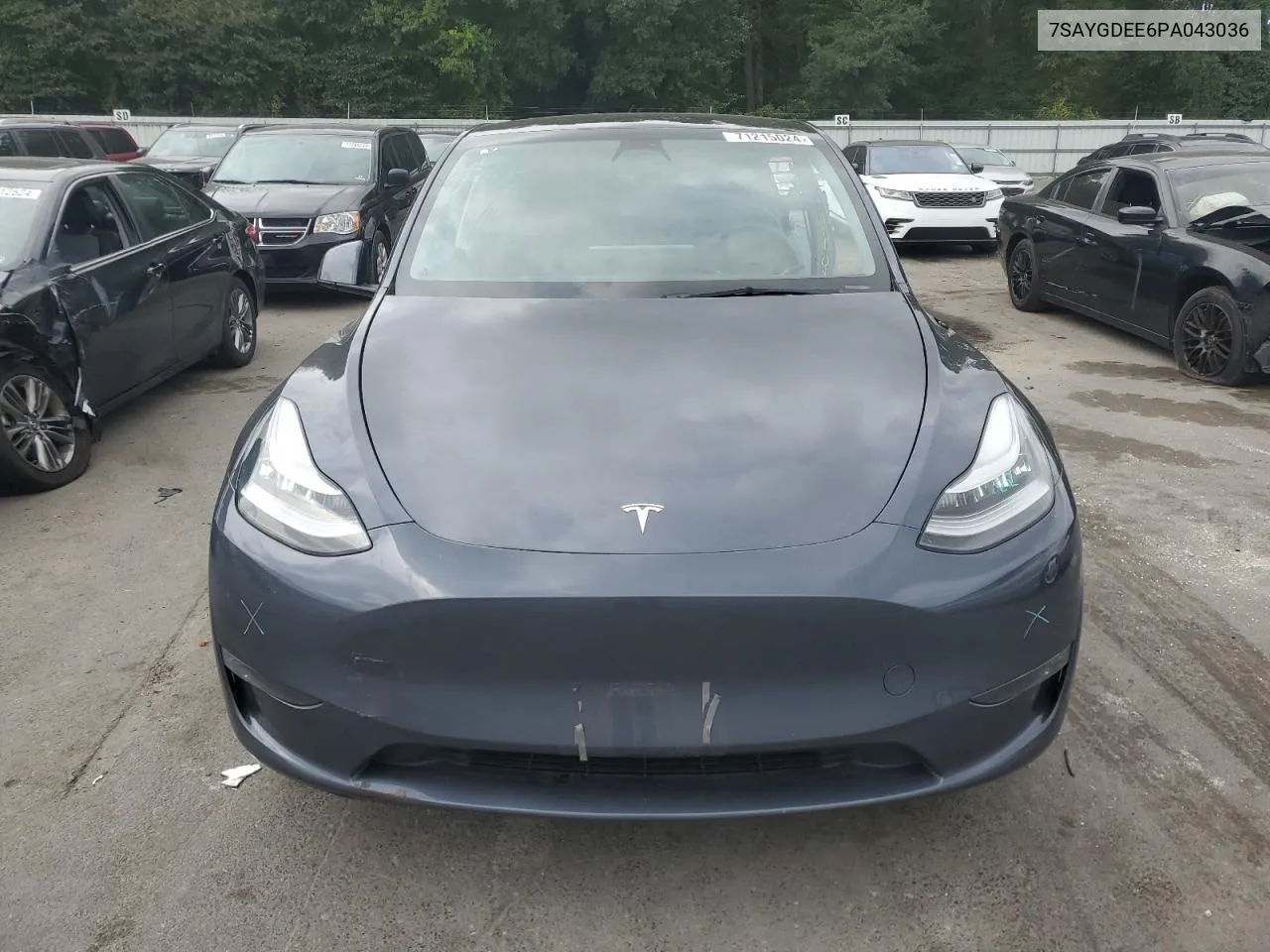 7SAYGDEE6PA043036 2023 Tesla Model Y