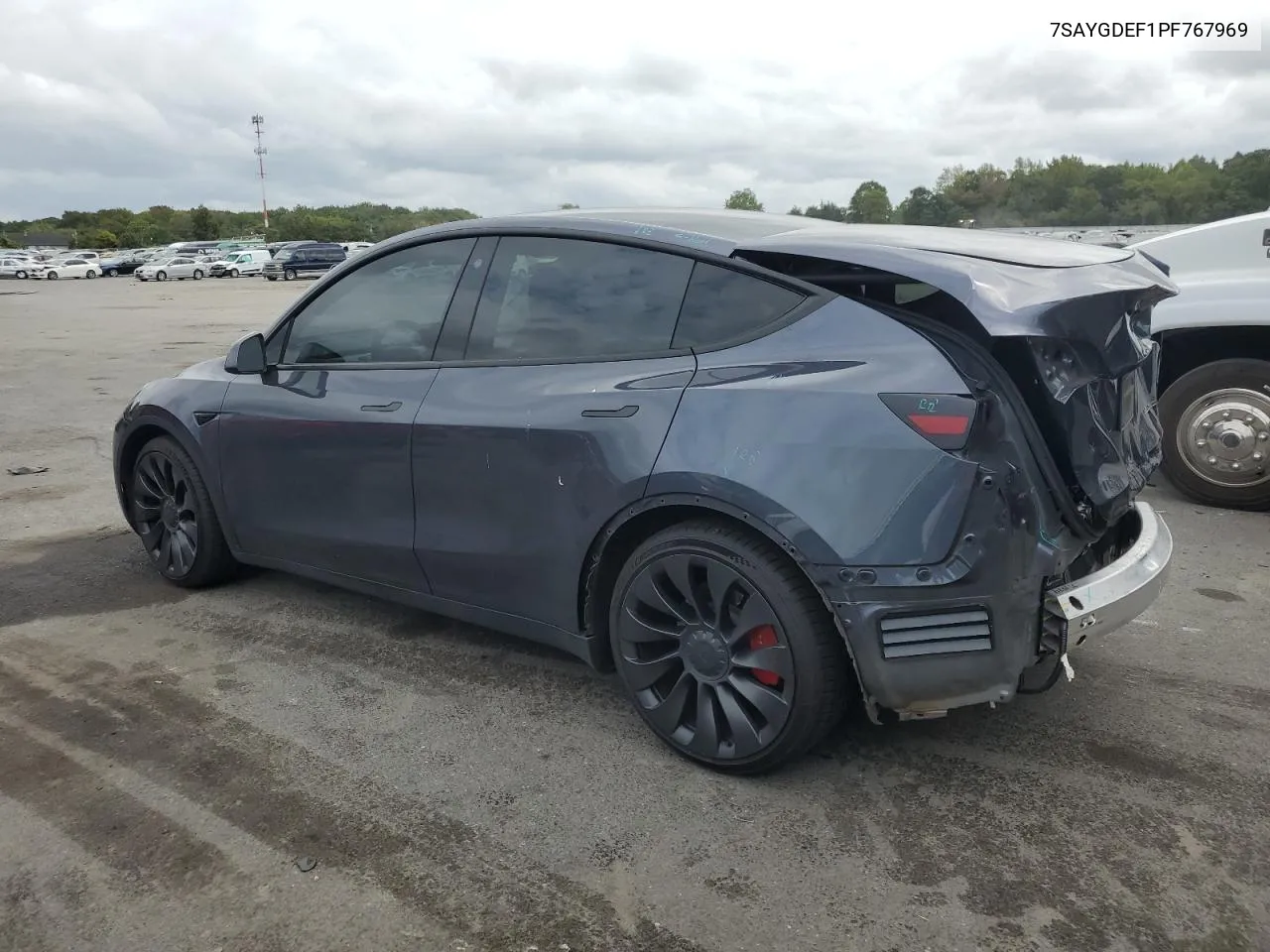 2023 Tesla Model Y VIN: 7SAYGDEF1PF767969 Lot: 71245374