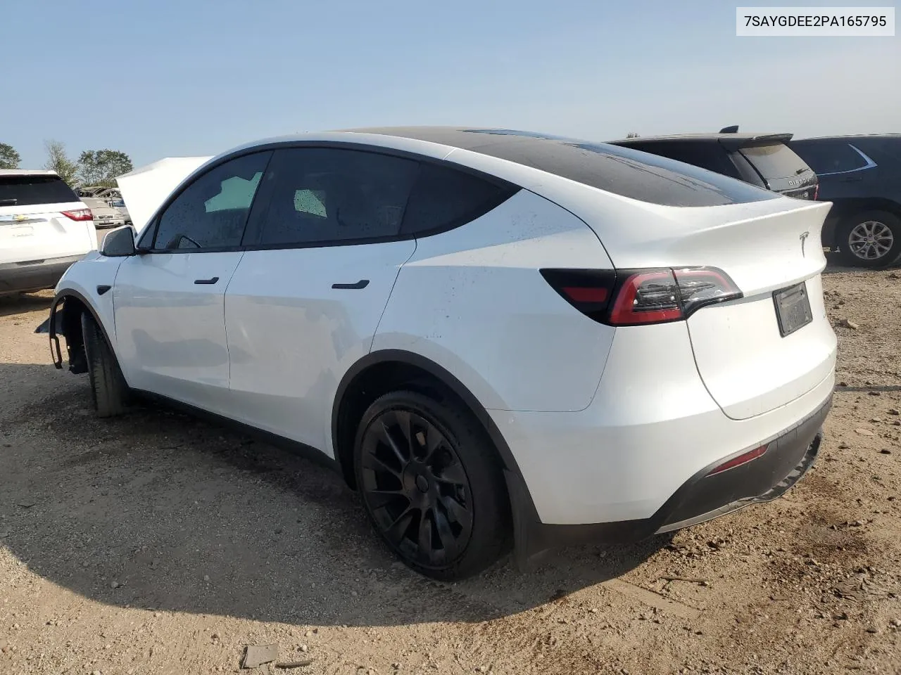 2023 Tesla Model Y VIN: 7SAYGDEE2PA165795 Lot: 71387874