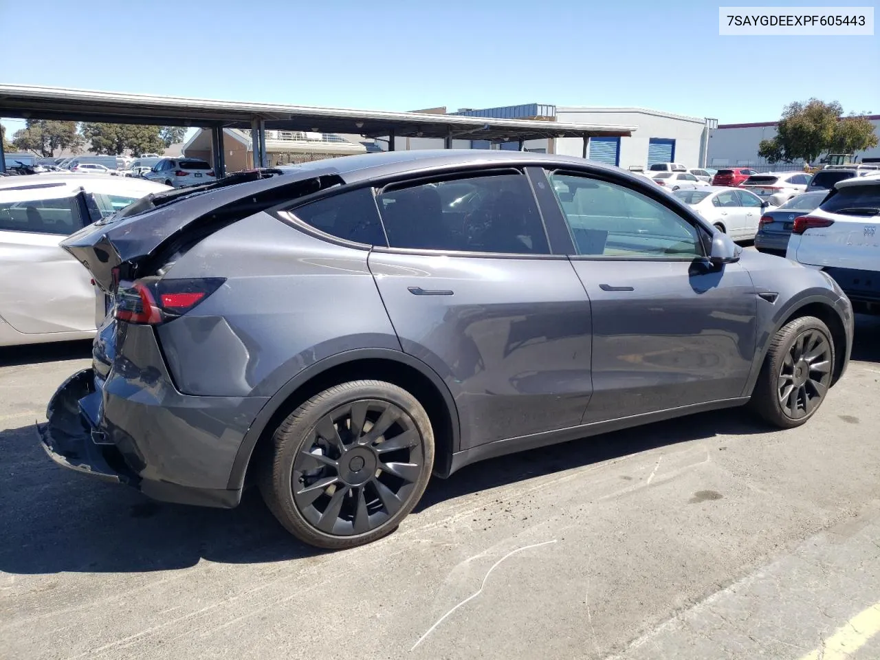 2023 Tesla Model Y VIN: 7SAYGDEEXPF605443 Lot: 71452214