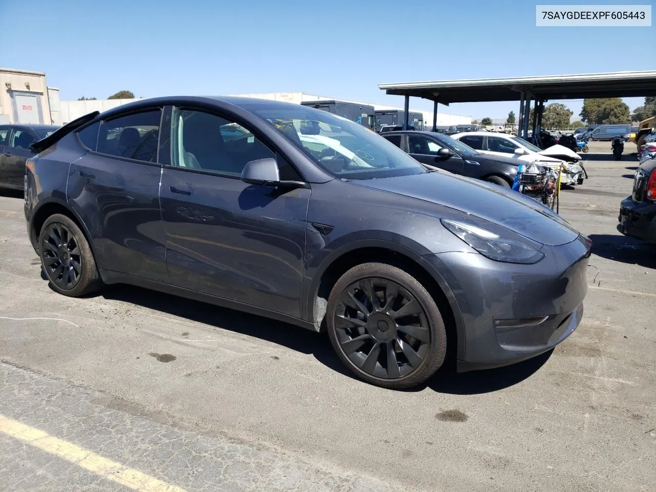 2023 Tesla Model Y VIN: 7SAYGDEEXPF605443 Lot: 71452214