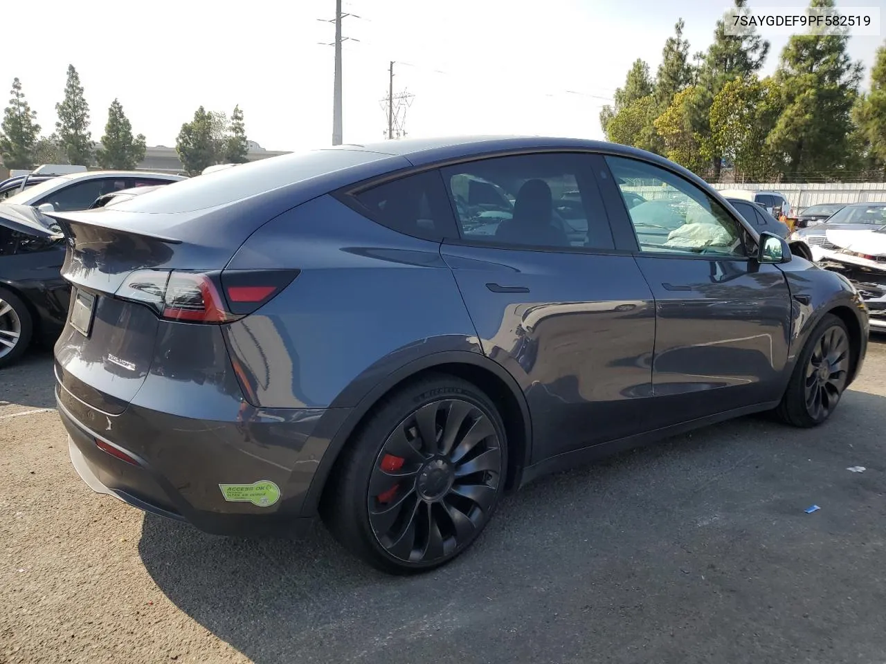 2023 Tesla Model Y VIN: 7SAYGDEF9PF582519 Lot: 71618654