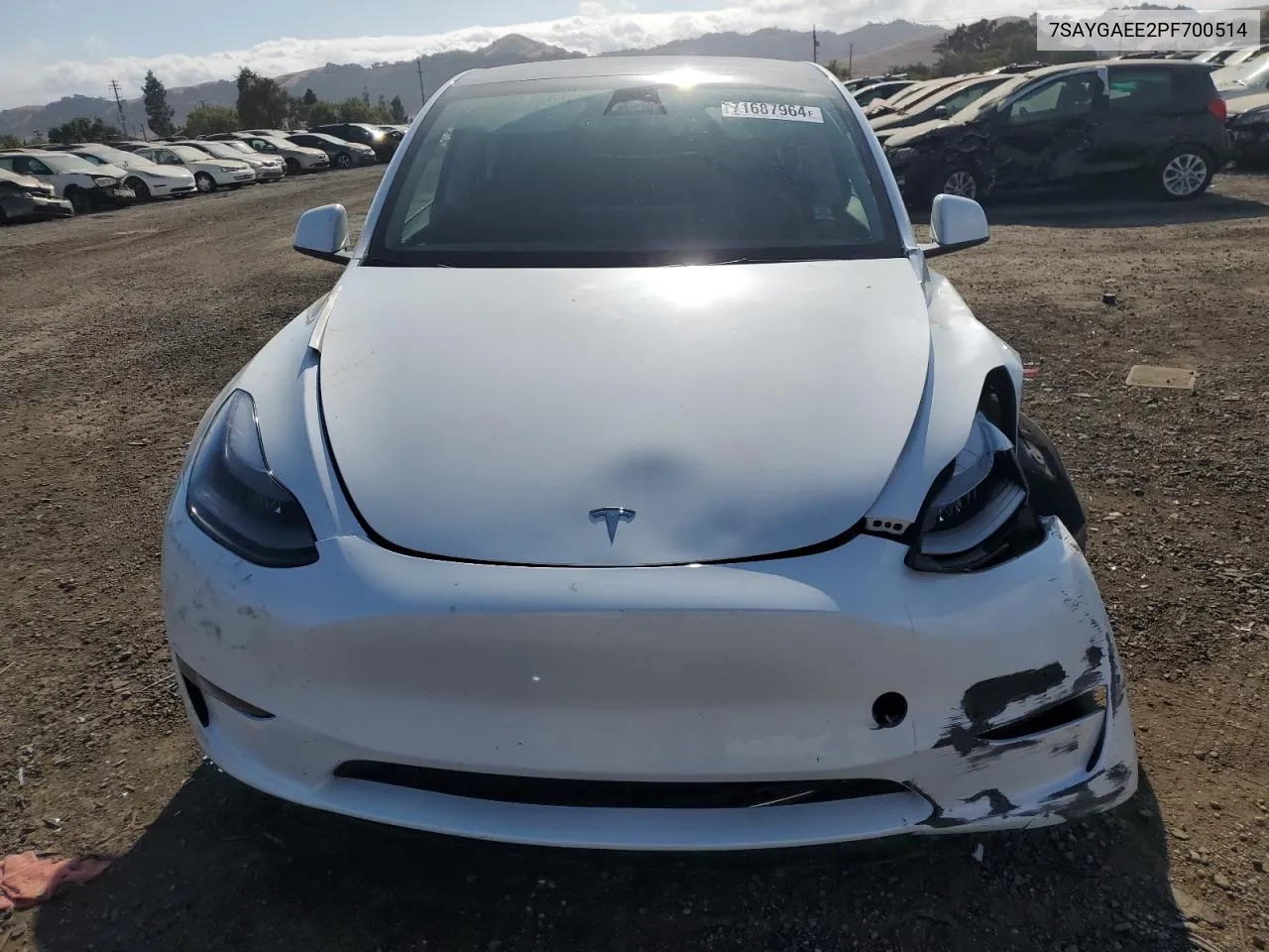 2023 Tesla Model Y VIN: 7SAYGAEE2PF700514 Lot: 71687964