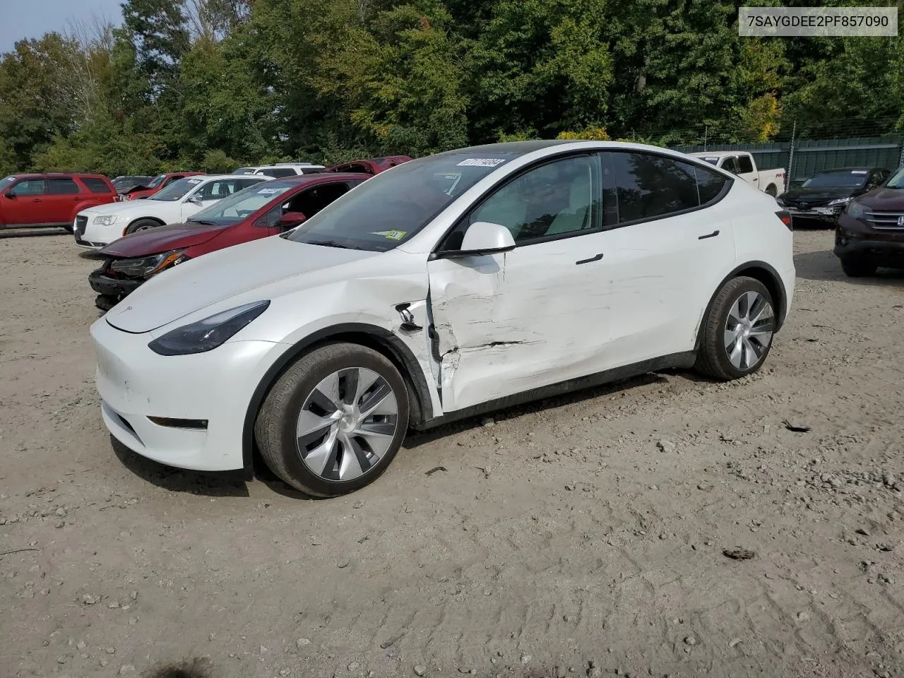 2023 Tesla Model Y VIN: 7SAYGDEE2PF857090 Lot: 71774084