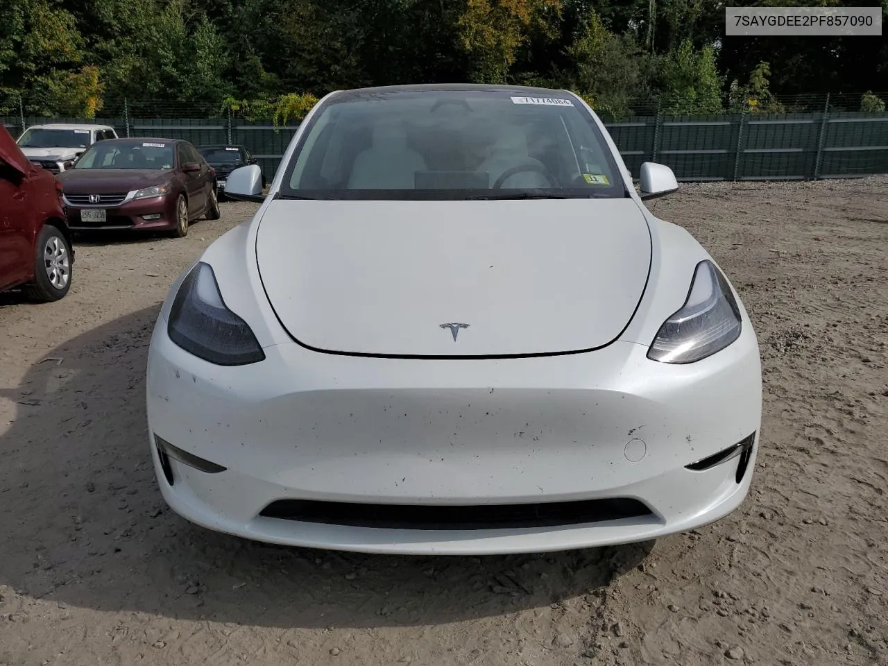 2023 Tesla Model Y VIN: 7SAYGDEE2PF857090 Lot: 71774084