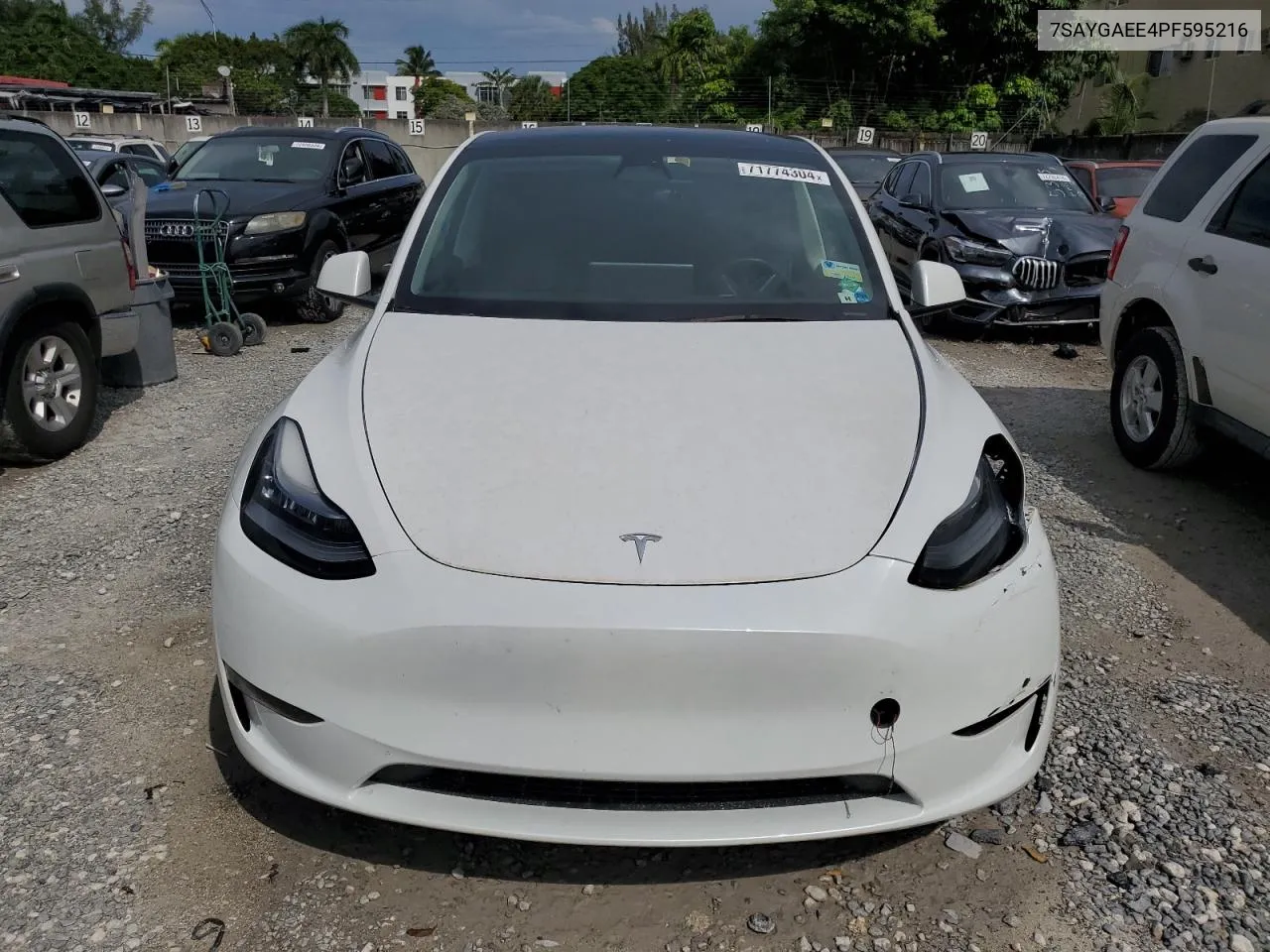 2023 Tesla Model Y VIN: 7SAYGAEE4PF595216 Lot: 71774304