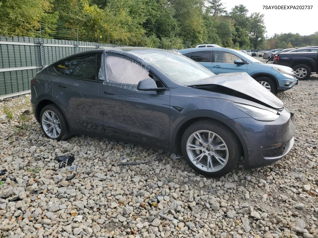 2023 Tesla Model Y VIN: 7SAYGDEEXPA202737 Lot: 71883264