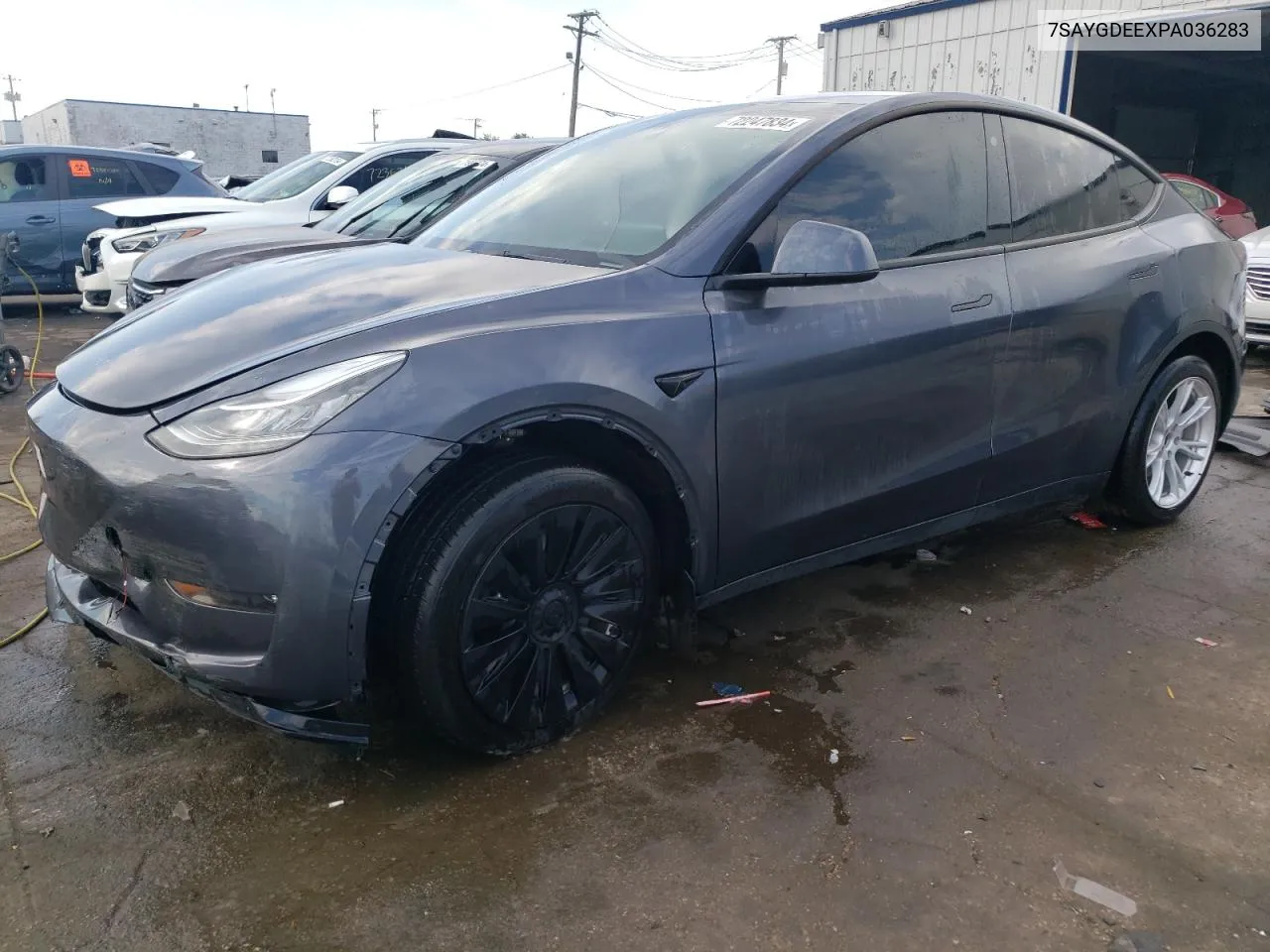 2023 Tesla Model Y VIN: 7SAYGDEEXPA036283 Lot: 72247834