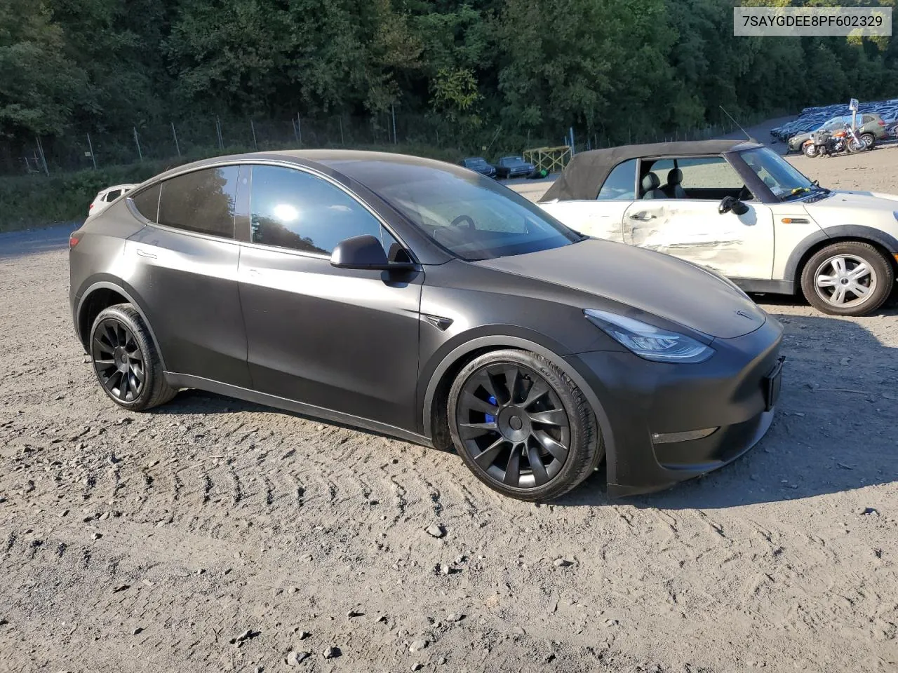 2023 Tesla Model Y VIN: 7SAYGDEE8PF602329 Lot: 72585544