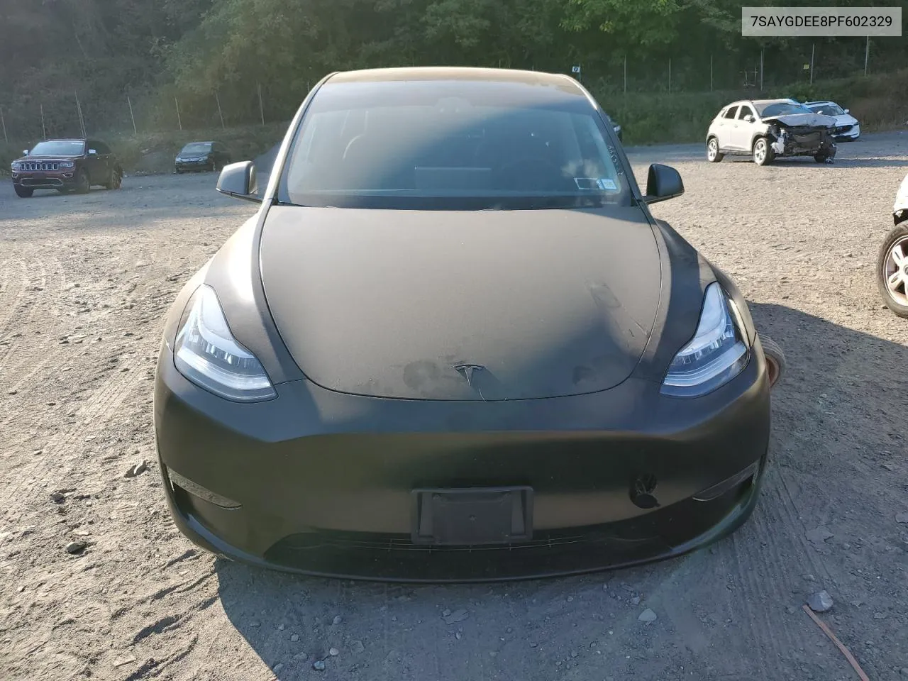 2023 Tesla Model Y VIN: 7SAYGDEE8PF602329 Lot: 72585544