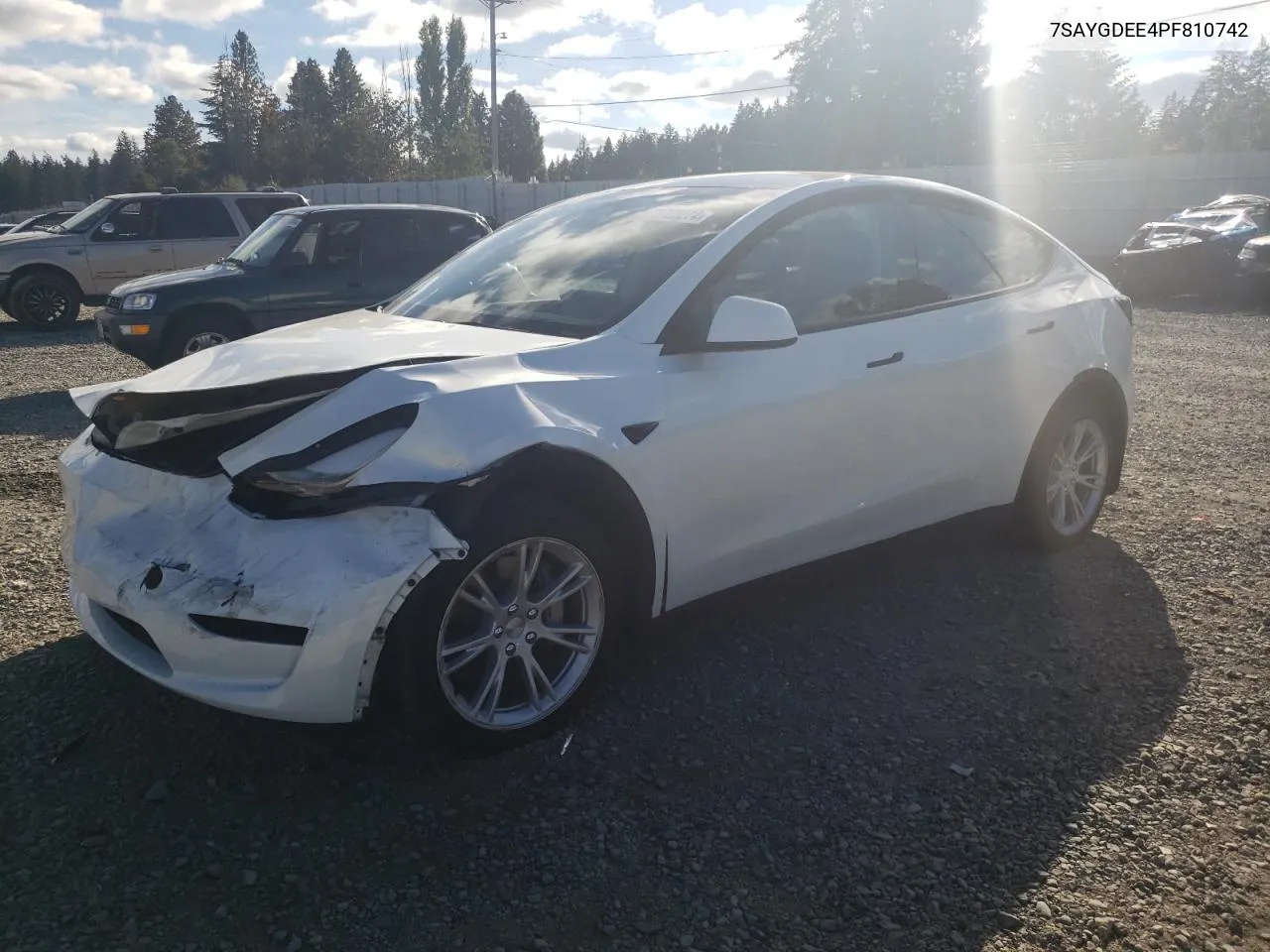 7SAYGDEE4PF810742 2023 Tesla Model Y