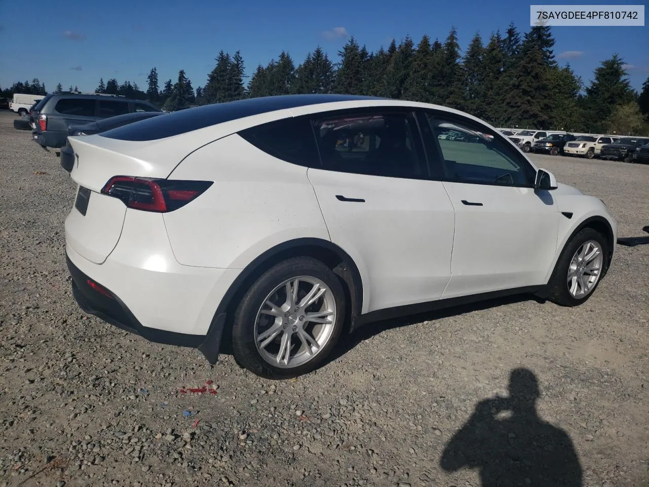 2023 Tesla Model Y VIN: 7SAYGDEE4PF810742 Lot: 72722274