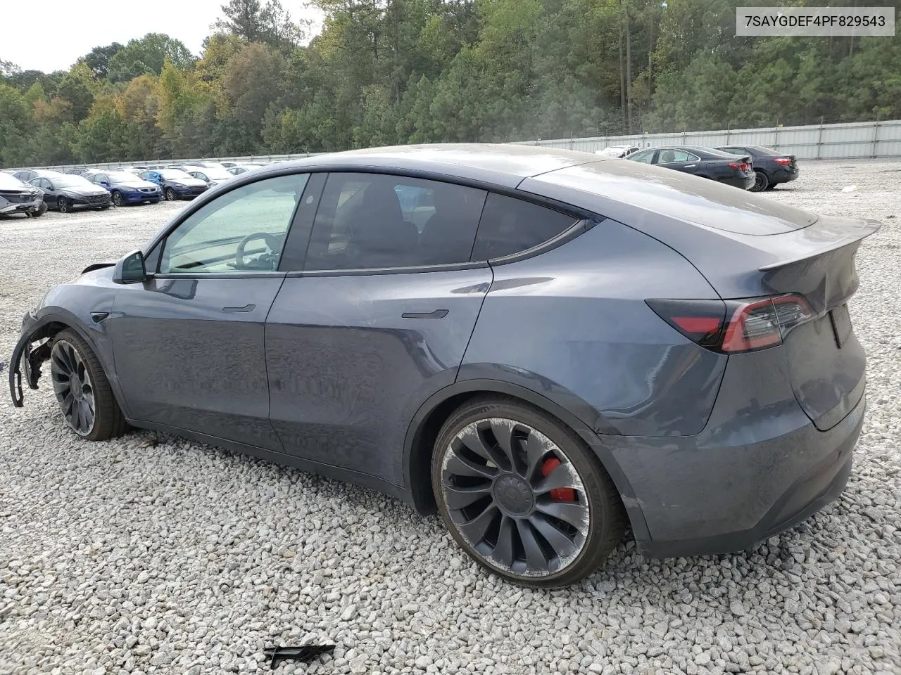 2023 Tesla Model Y VIN: 7SAYGDEF4PF829543 Lot: 72877864