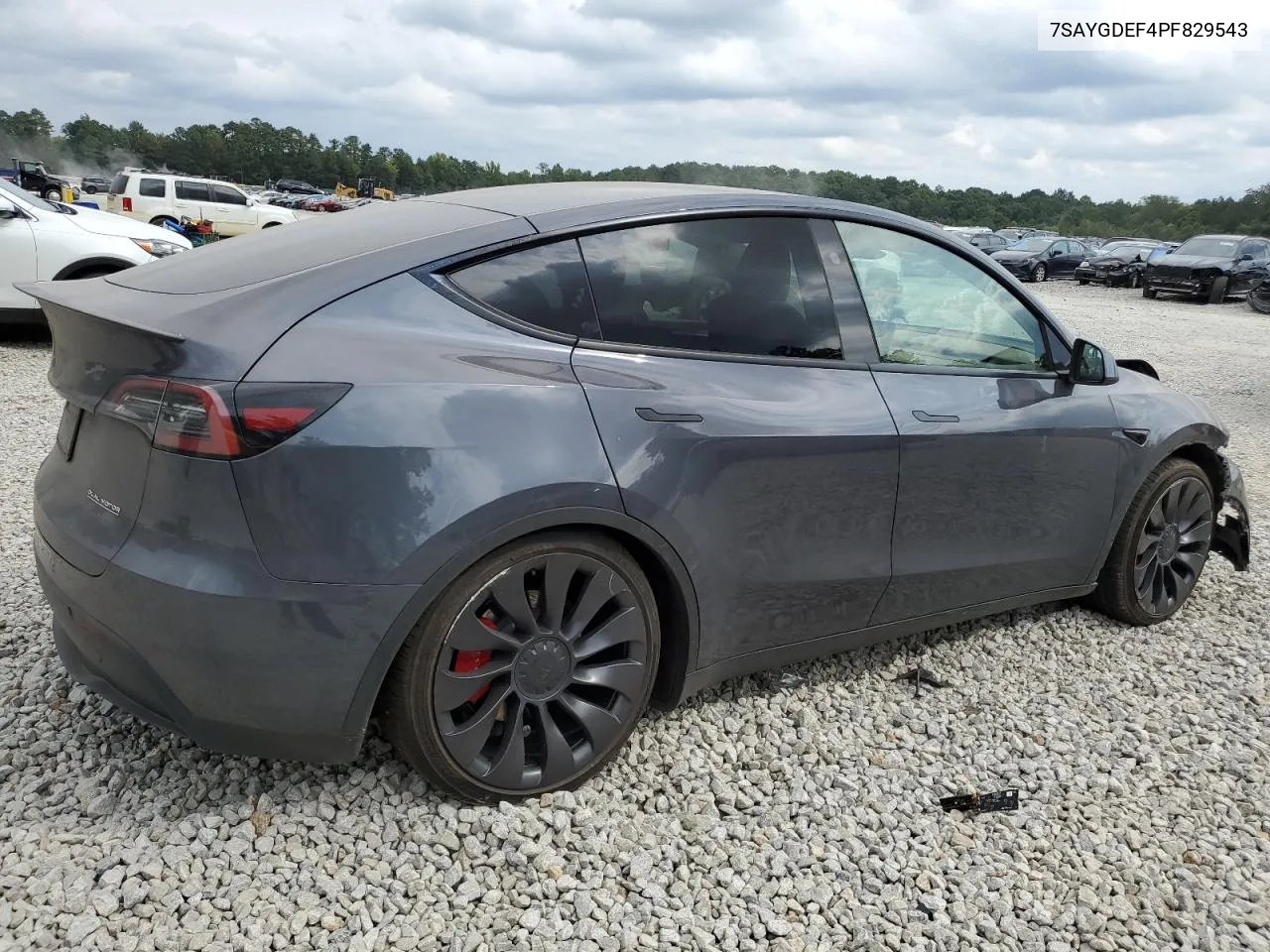 2023 Tesla Model Y VIN: 7SAYGDEF4PF829543 Lot: 72877864