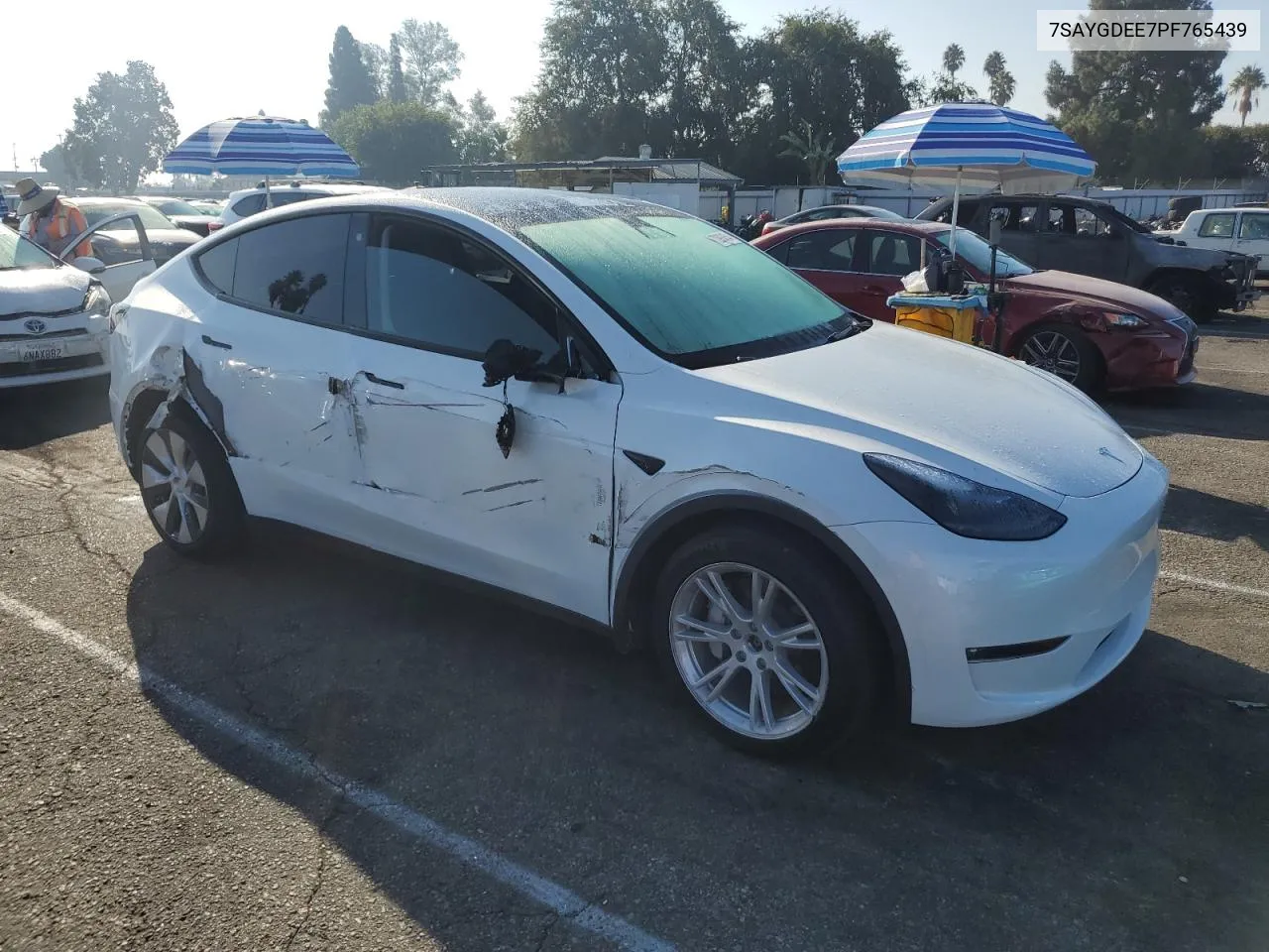 2023 Tesla Model Y VIN: 7SAYGDEE7PF765439 Lot: 72983454