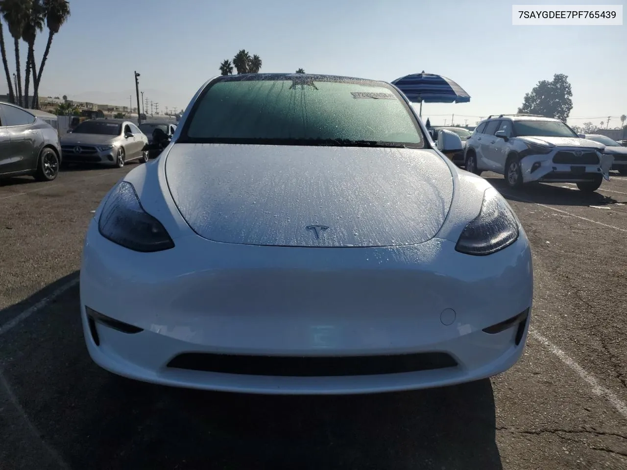 2023 Tesla Model Y VIN: 7SAYGDEE7PF765439 Lot: 72983454