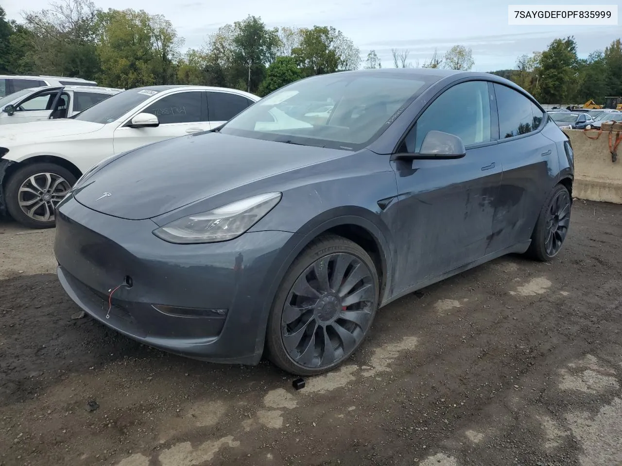 2023 Tesla Model Y VIN: 7SAYGDEF0PF835999 Lot: 73056864