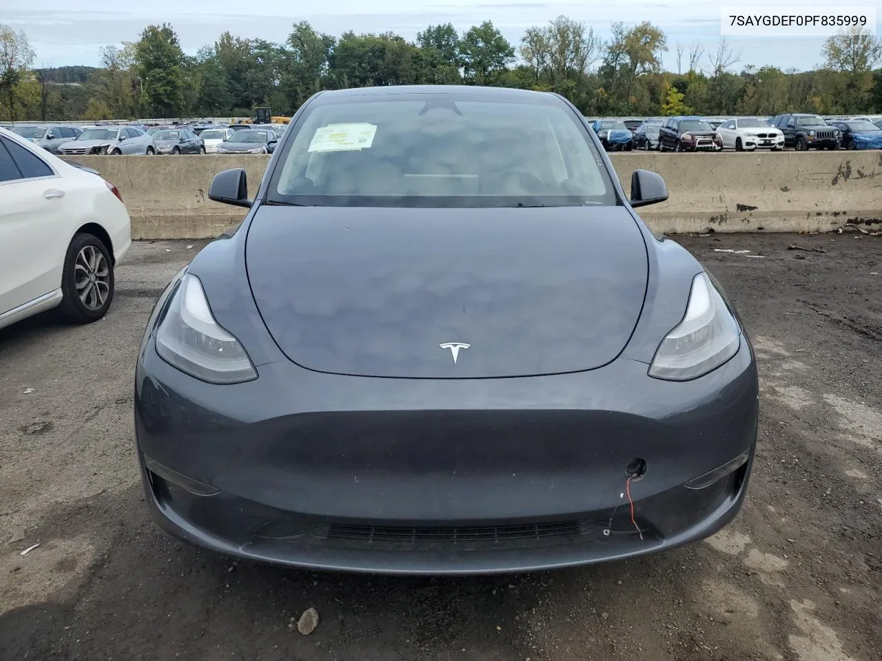 2023 Tesla Model Y VIN: 7SAYGDEF0PF835999 Lot: 73056864