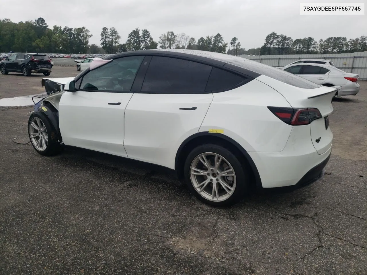 2023 Tesla Model Y VIN: 7SAYGDEE6PF667745 Lot: 73206474