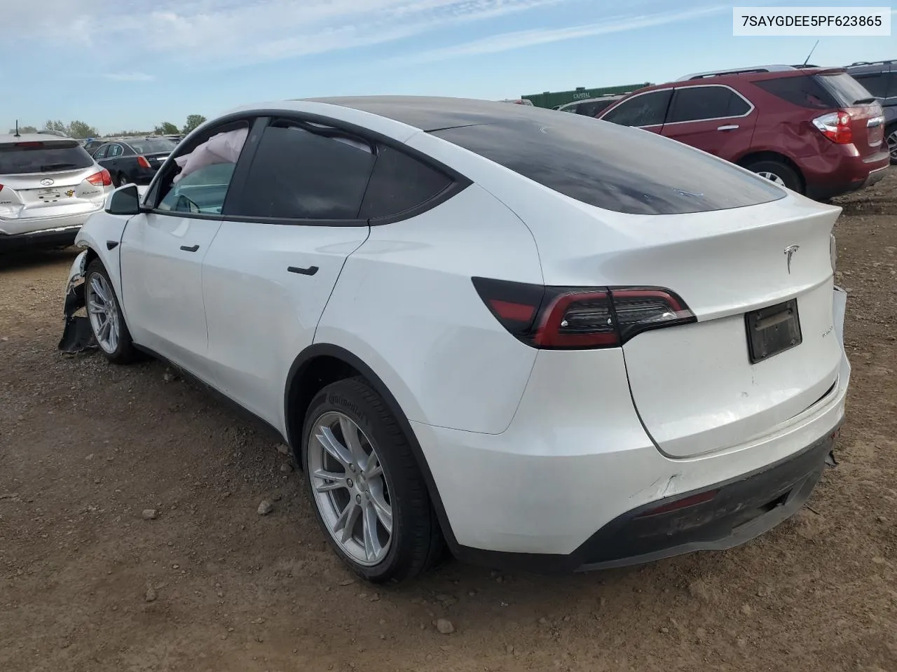 2023 Tesla Model Y VIN: 7SAYGDEE5PF623865 Lot: 74695794