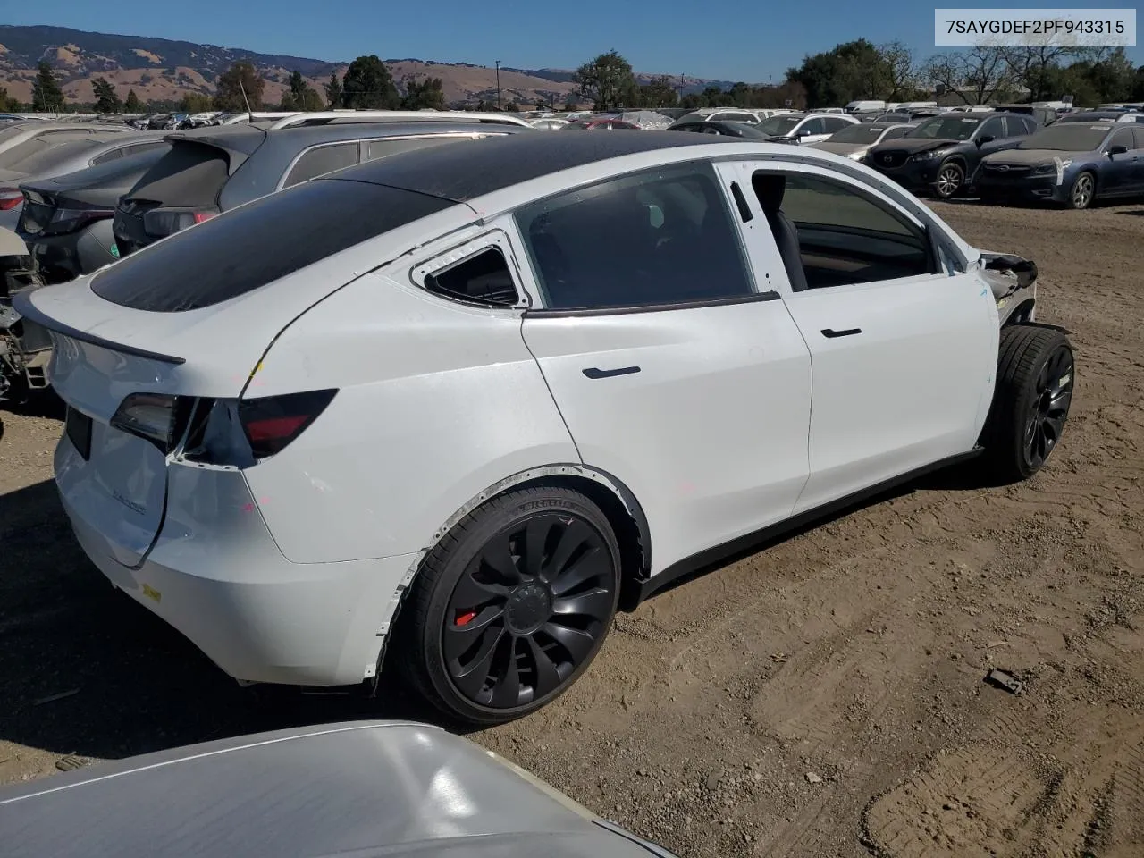 2023 Tesla Model Y VIN: 7SAYGDEF2PF943315 Lot: 75662634