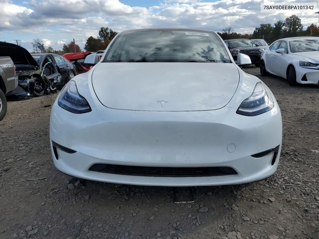 2023 Tesla Model Y VIN: 7SAYGDEE8PA101342 Lot: 75691184