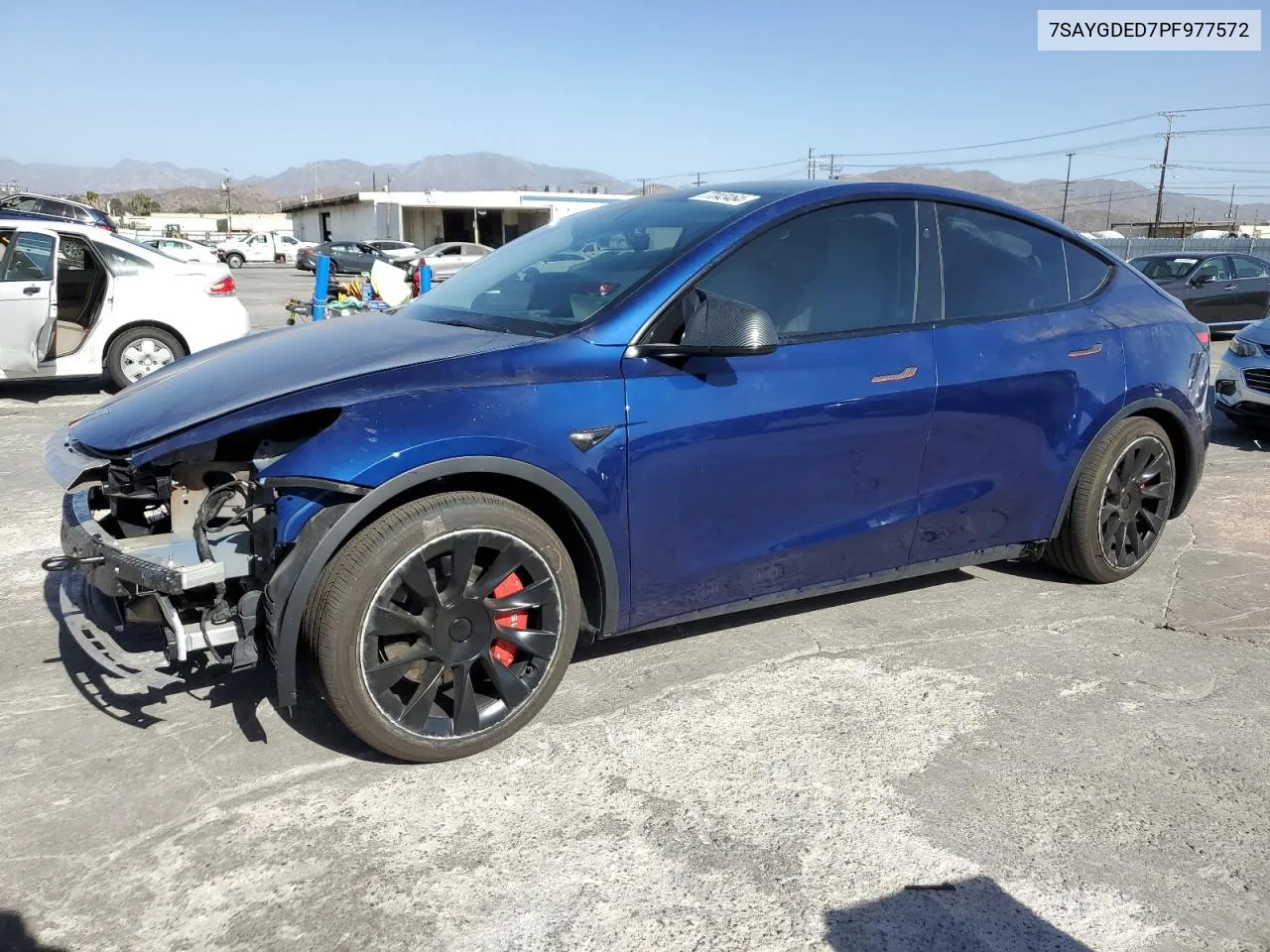 2023 Tesla Model Y VIN: 7SAYGDED7PF977572 Lot: 77043464