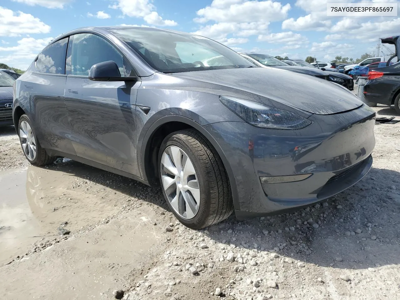 2023 Tesla Model Y VIN: 7SAYGDEE3PF865697 Lot: 77405034