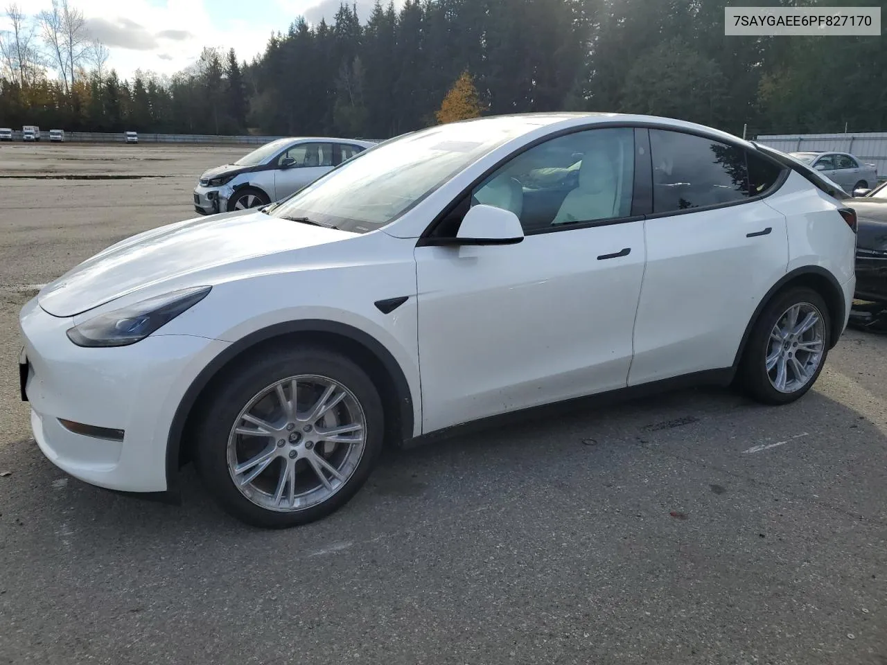 2023 Tesla Model Y VIN: 7SAYGAEE6PF827170 Lot: 77983334