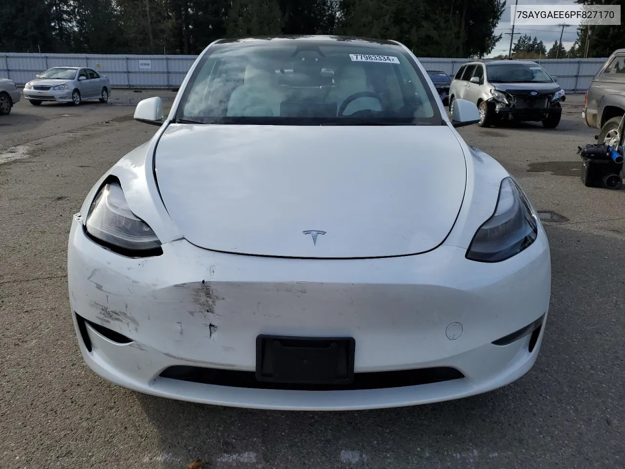 2023 Tesla Model Y VIN: 7SAYGAEE6PF827170 Lot: 77983334