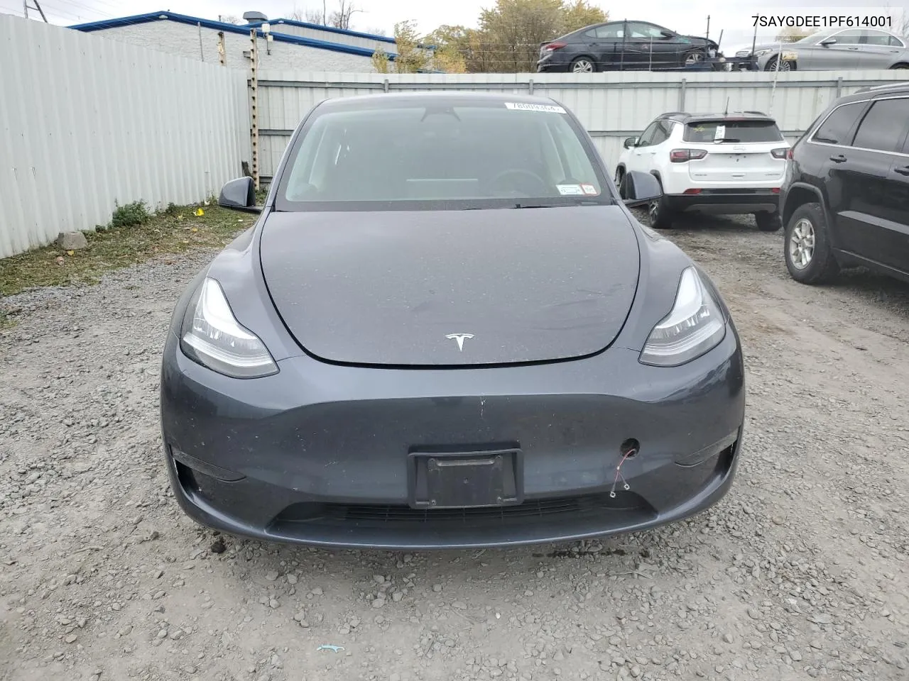 2023 Tesla Model Y VIN: 7SAYGDEE1PF614001 Lot: 78009364