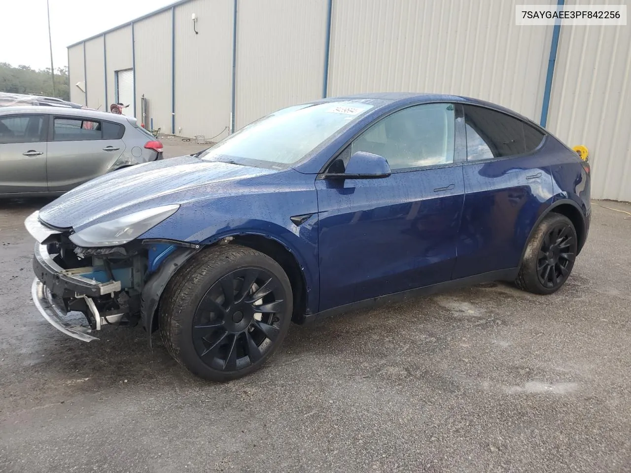 2023 Tesla Model Y VIN: 7SAYGAEE3PF842256 Lot: 79489694