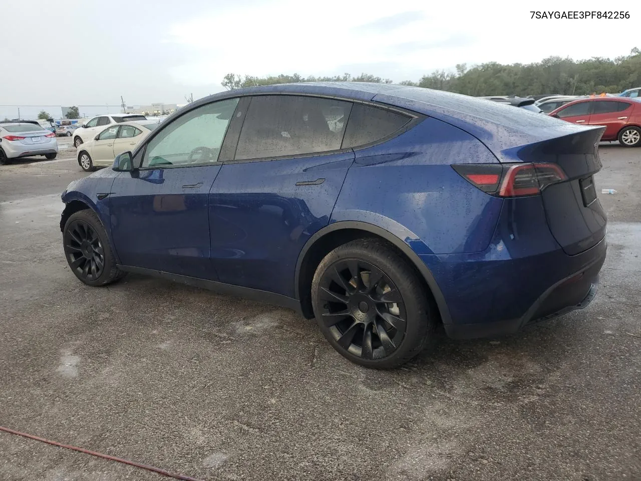 2023 Tesla Model Y VIN: 7SAYGAEE3PF842256 Lot: 79489694