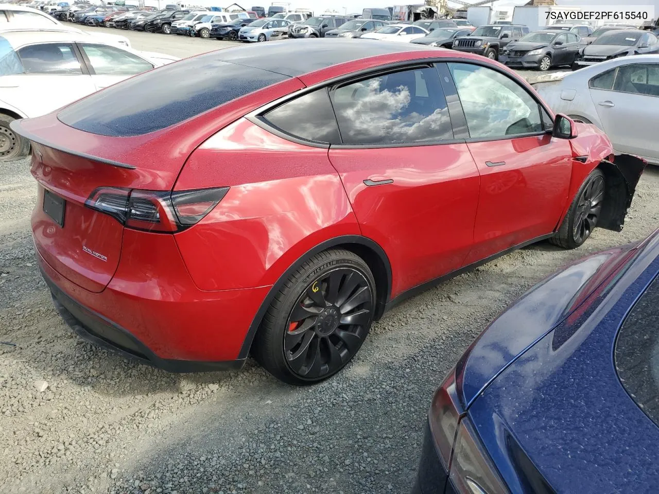 2023 Tesla Model Y VIN: 7SAYGDEF2PF615540 Lot: 79711544