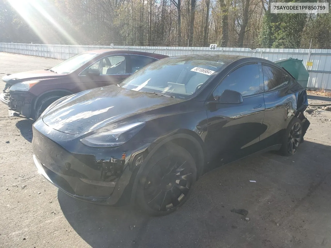 2023 Tesla Model Y VIN: 7SAYGDEE1PF850759 Lot: 80186984