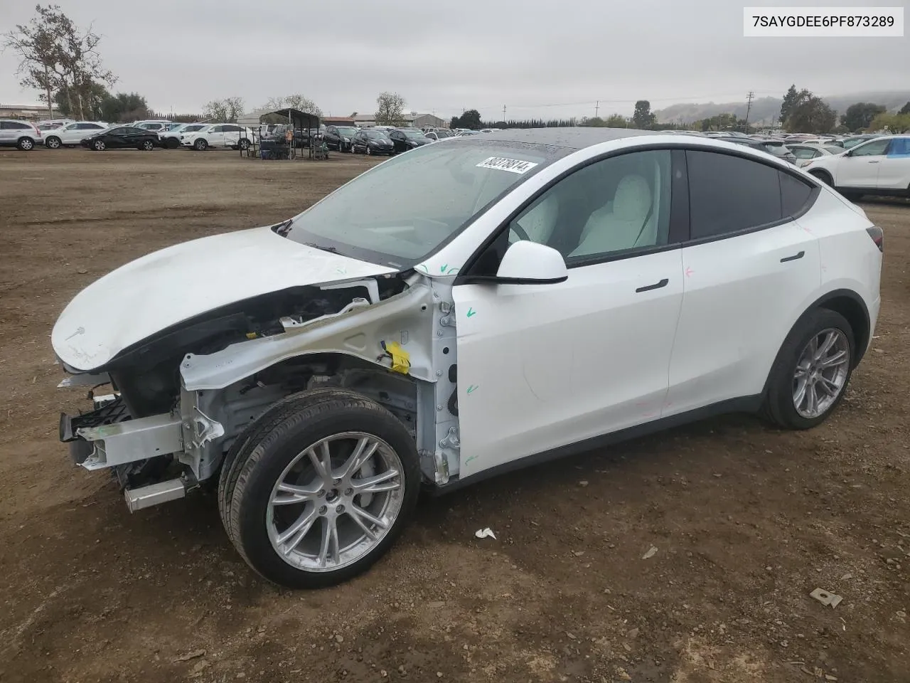 2023 Tesla Model Y VIN: 7SAYGDEE6PF873289 Lot: 80378814