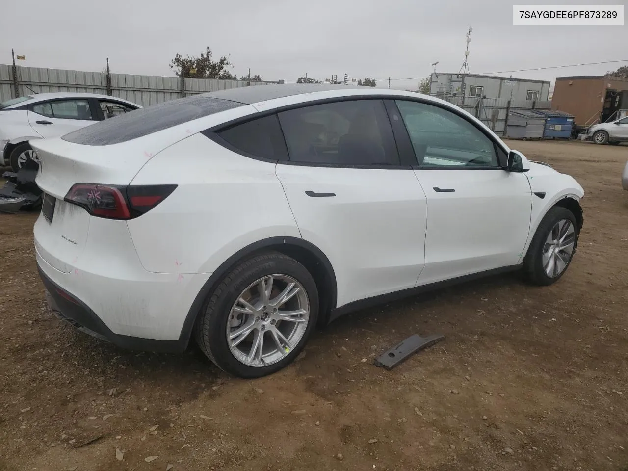 2023 Tesla Model Y VIN: 7SAYGDEE6PF873289 Lot: 80378814