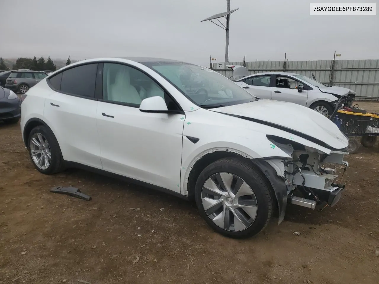 2023 Tesla Model Y VIN: 7SAYGDEE6PF873289 Lot: 80378814