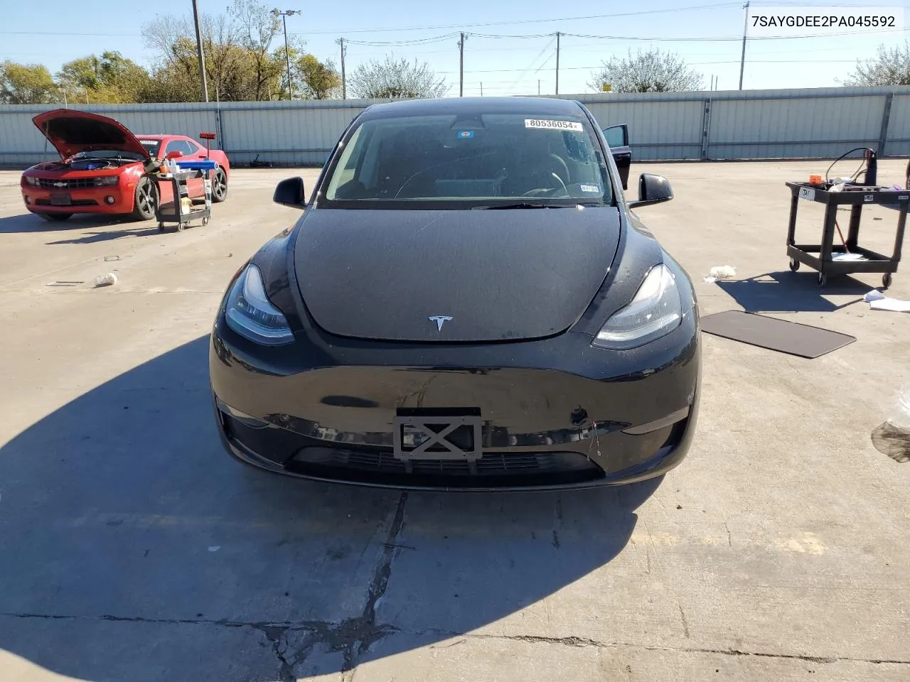 2023 Tesla Model Y VIN: 7SAYGDEE2PA045592 Lot: 80536054