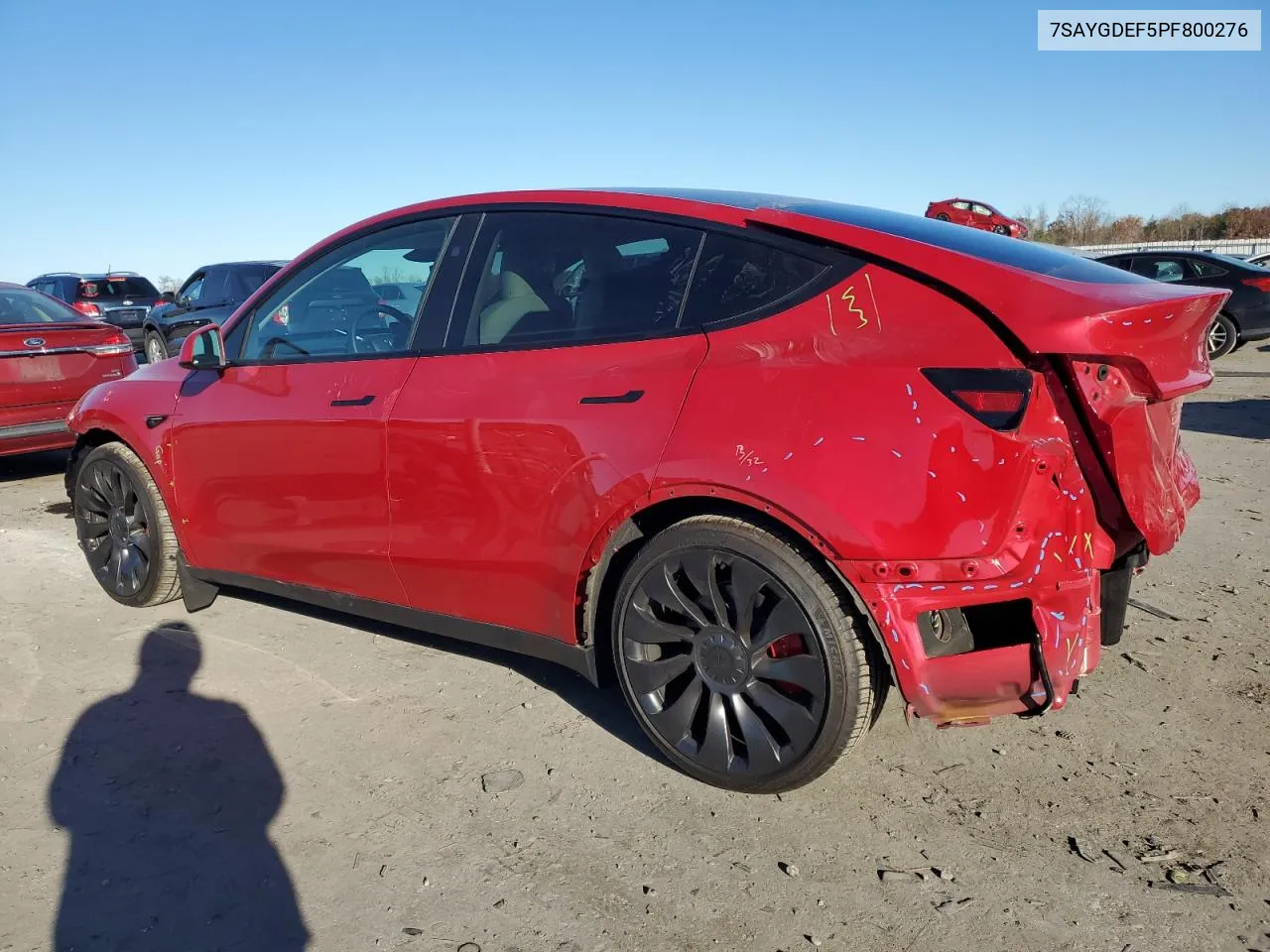 2023 Tesla Model Y VIN: 7SAYGDEF5PF800276 Lot: 80546894