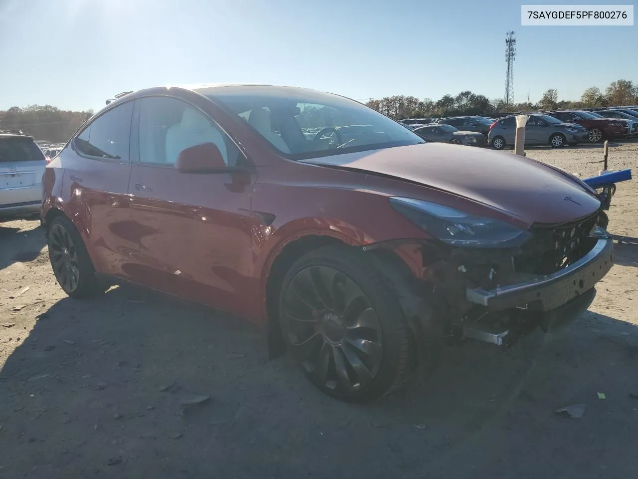 2023 Tesla Model Y VIN: 7SAYGDEF5PF800276 Lot: 80546894