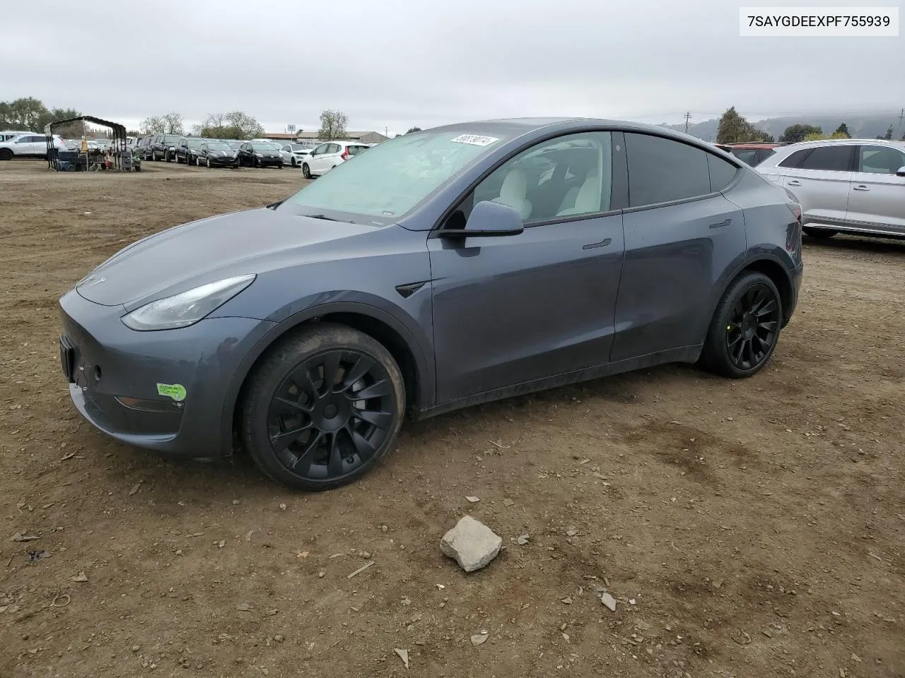 2023 Tesla Model Y VIN: 7SAYGDEEXPF755939 Lot: 80879074