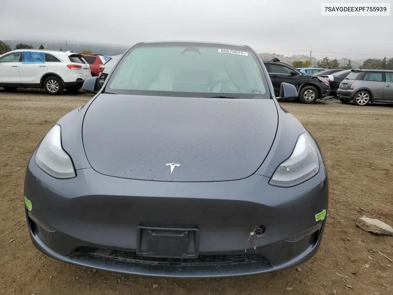 2023 Tesla Model Y VIN: 7SAYGDEEXPF755939 Lot: 80879074