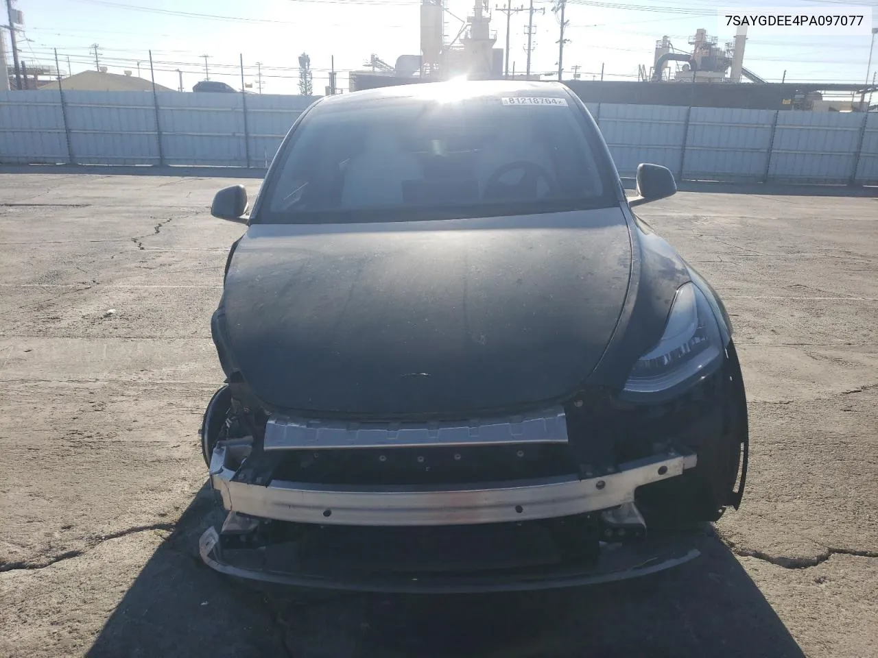 2023 Tesla Model Y VIN: 7SAYGDEE4PA097077 Lot: 81218764