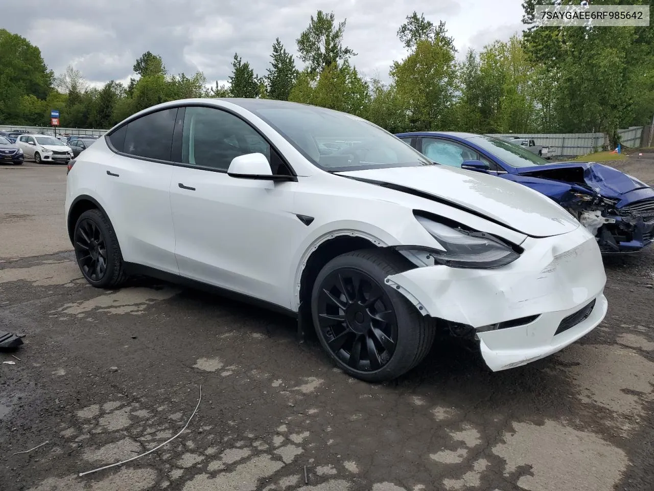 2024 Tesla Model Y VIN: 7SAYGAEE6RF985642 Lot: 53017924