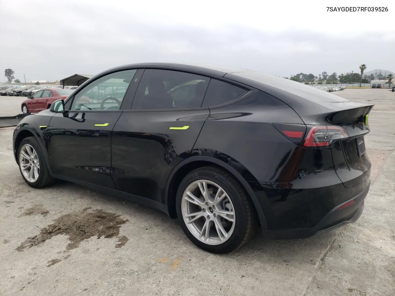 2024 Tesla Model Y VIN: 7SAYGDED7RF039526 Lot: 55339064