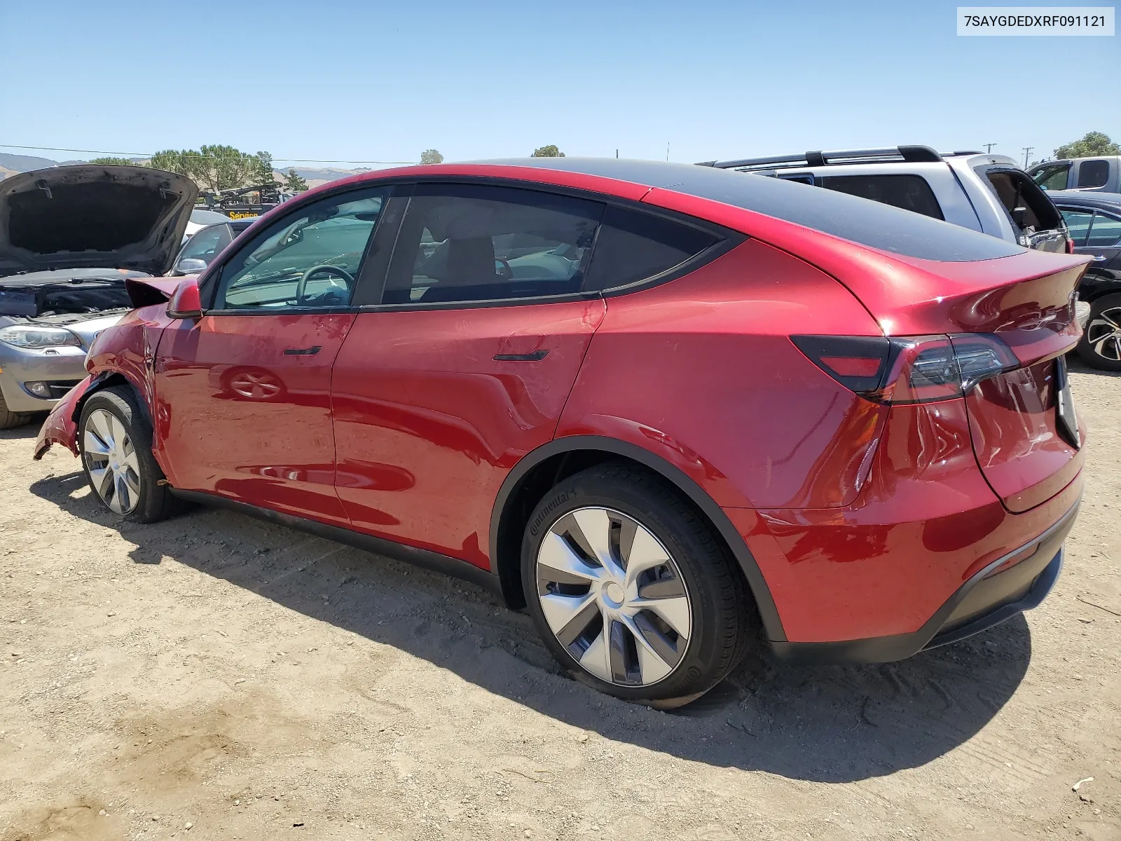 2024 Tesla Model Y VIN: 7SAYGDEDXRF091121 Lot: 56869674