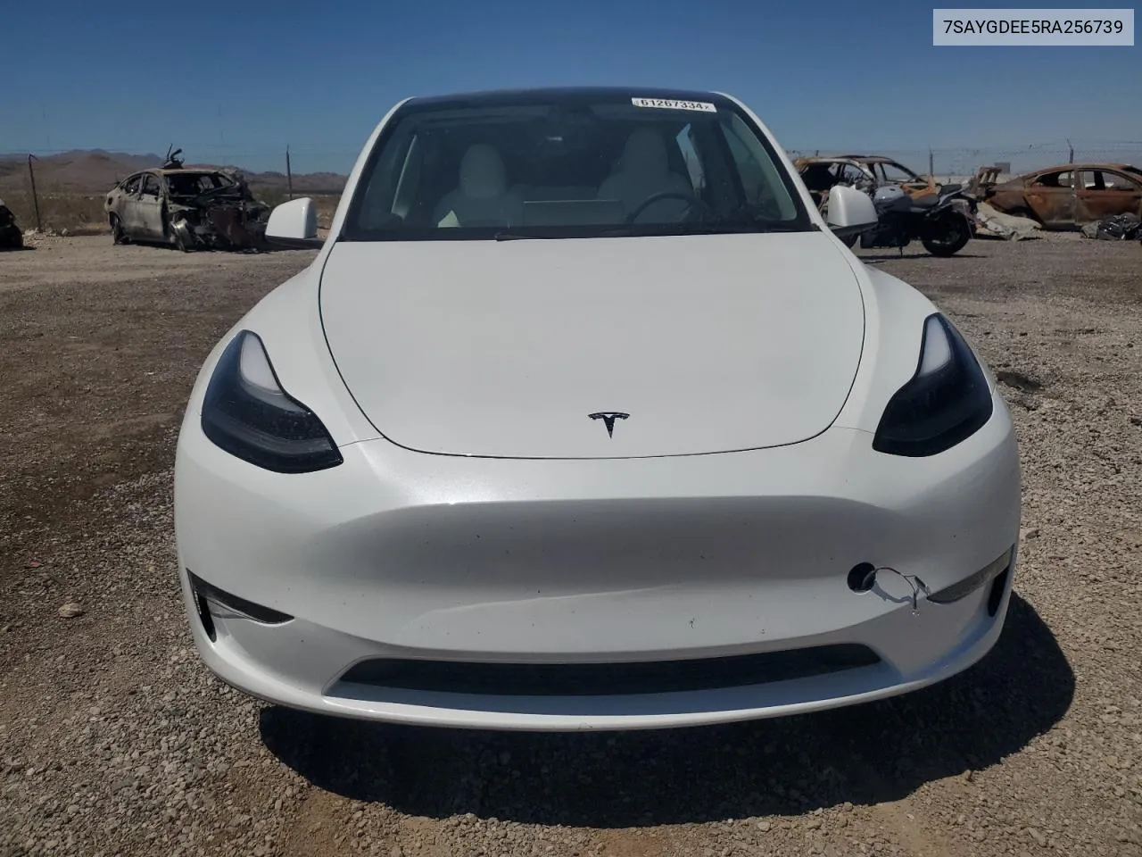 2024 Tesla Model Y VIN: 7SAYGDEE5RA256739 Lot: 61267334