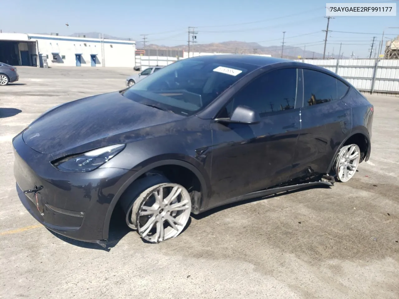 2024 Tesla Model Y VIN: 7SAYGAEE2RF991177 Lot: 61506864