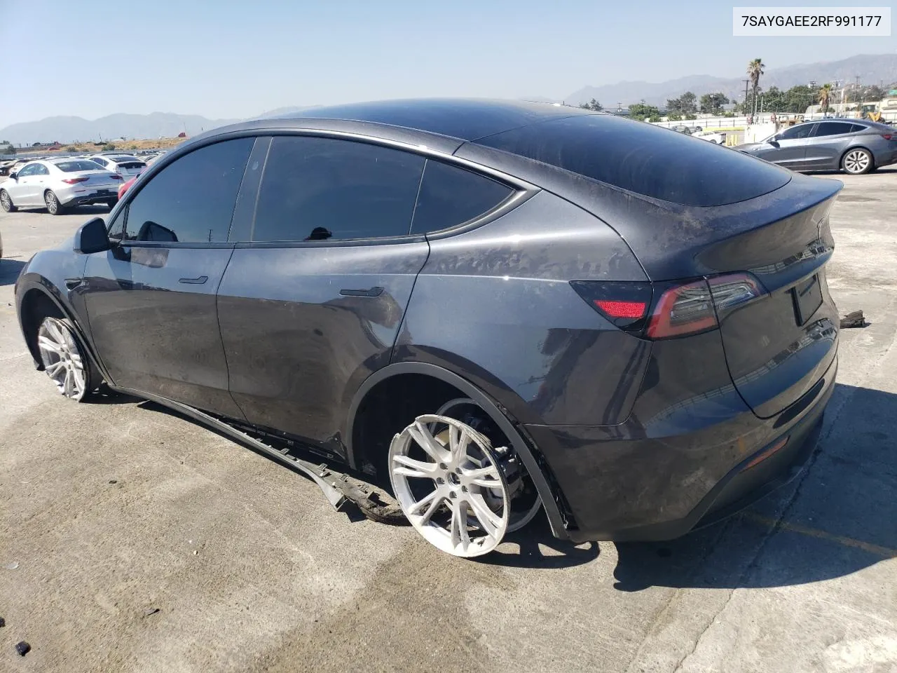 2024 Tesla Model Y VIN: 7SAYGAEE2RF991177 Lot: 61506864